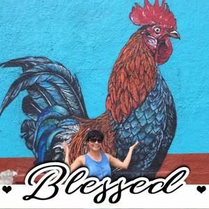 Meet your Posher, Elsa